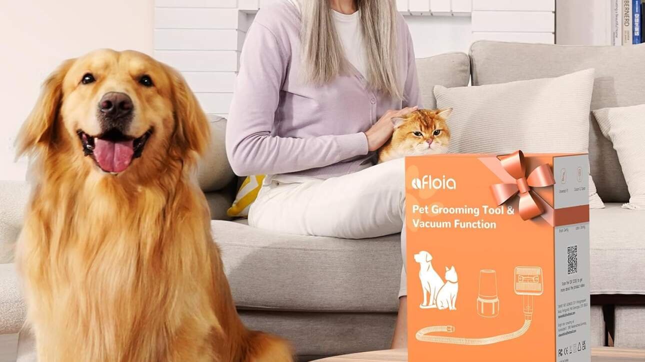 afloia brosse aspirateur chien brosse poils chat kit de toilettage innovant pour animaux de compagnie avec tuyau dextens 2