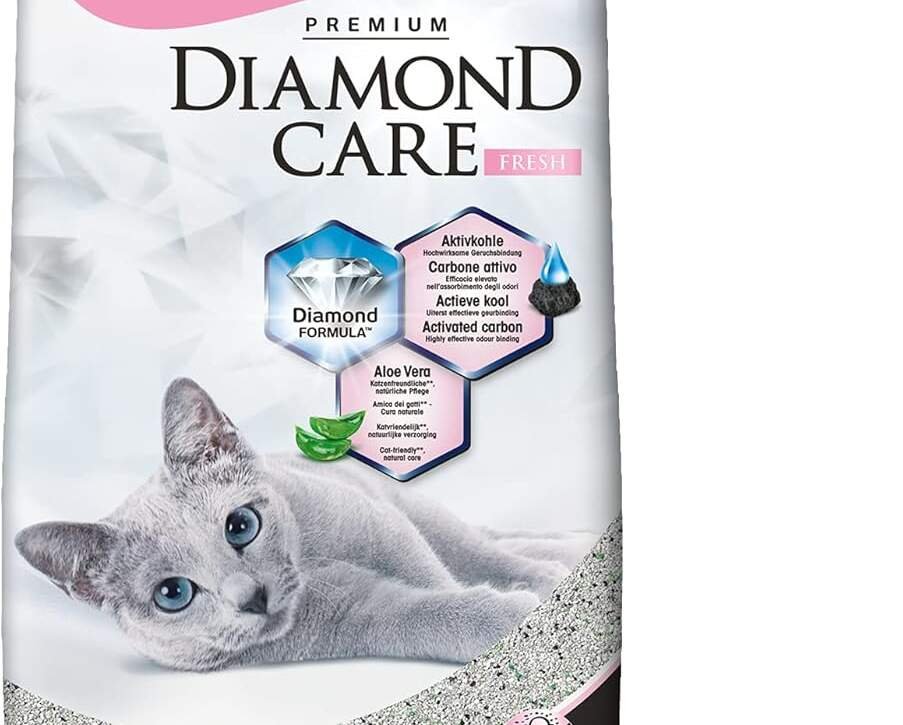 biokats diamond care fresh au parfum de talc litiere fine pour chats au charbon actif et a laloe vera 1 sac 1 a 10 l