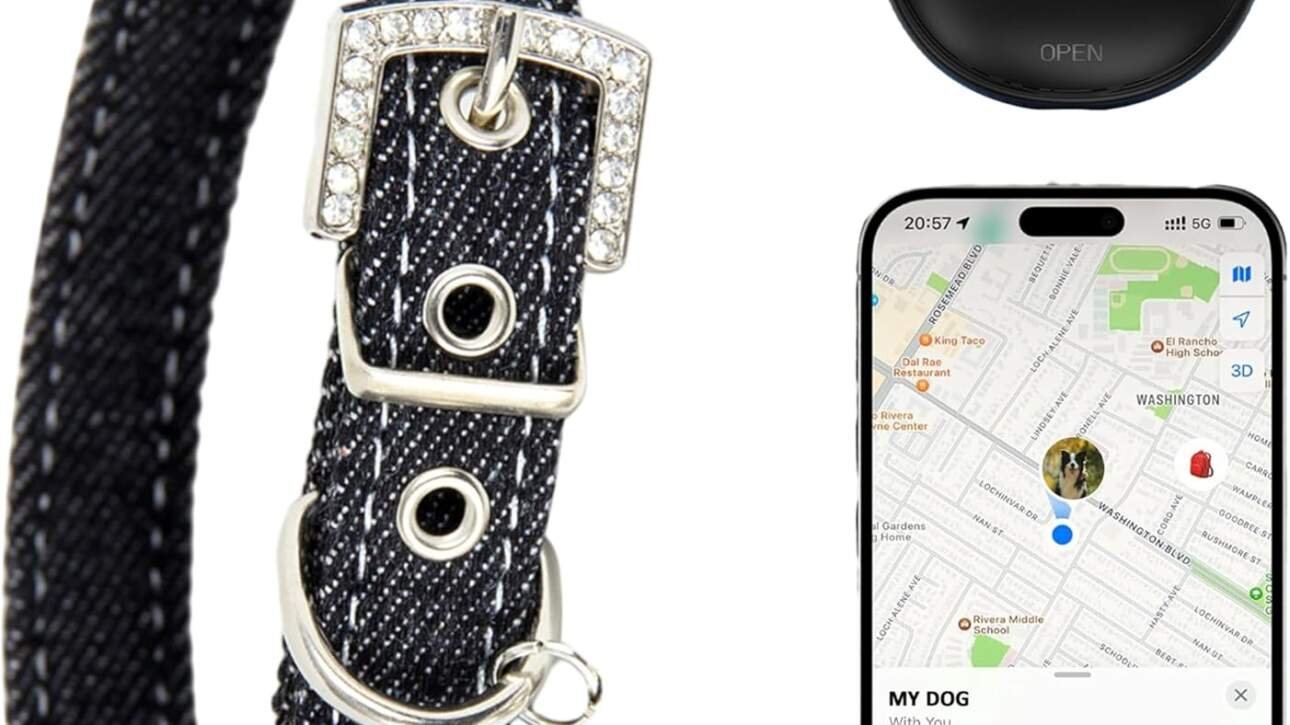 collier gps pour chat avec traceur dispositif de localisationportee illimiteemode perdu pour chats taille ajustable inte