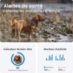 collier gps pour chien tractive review