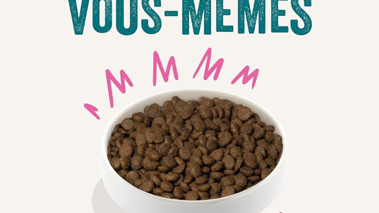 edgard cooper croquettes chien poulet frais 25kg sans cereales viande fraiche et proteines de qualite vrais ingredients 1 2