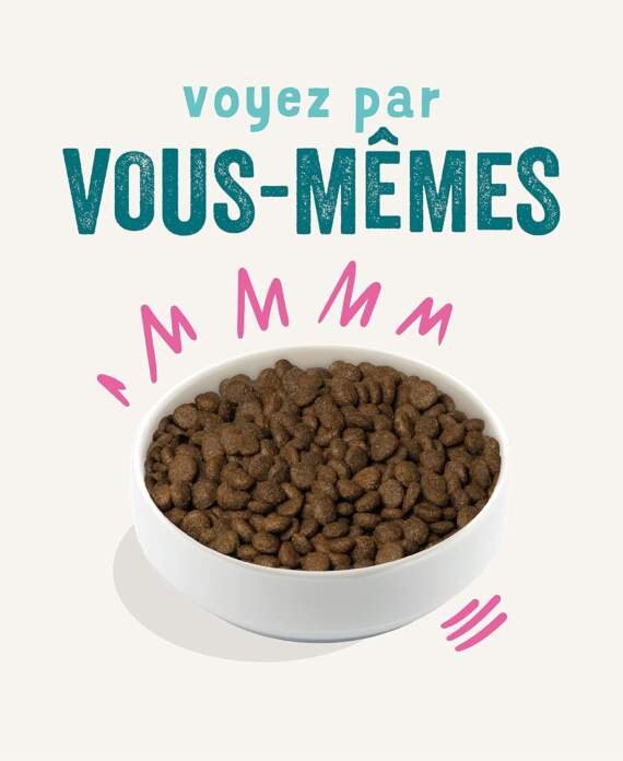 edgard cooper croquettes chien poulet frais 25kg sans cereales viande fraiche et proteines de qualite vrais ingredients 1 2