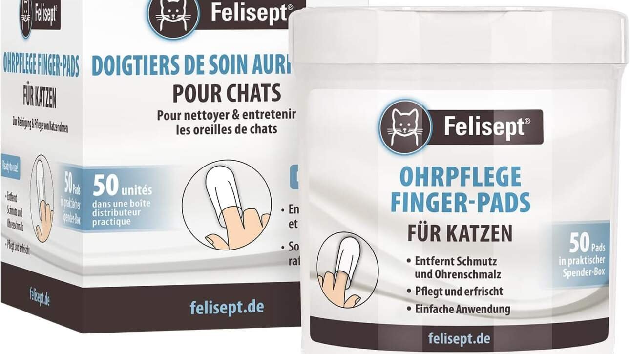 felisept doigtiers de soins dentaires pour chats 50 pcs soins des dents chats pour le nettoyage et le soin des dents du 1 2