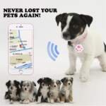 fohil mini localisateur gps pour animaux review