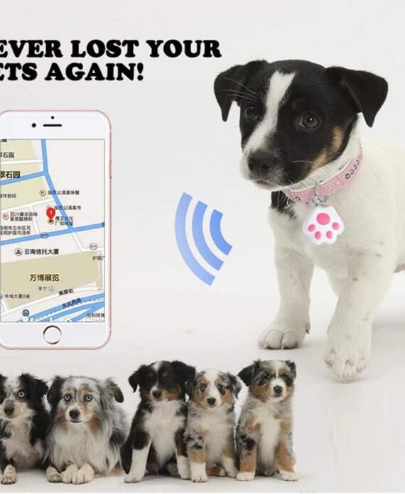 fohil mini localisateur gps pour animaux review