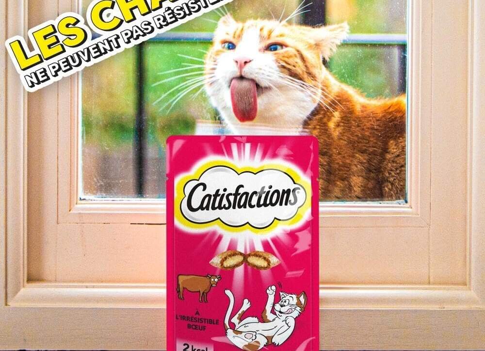 friandises pour chat au canard review