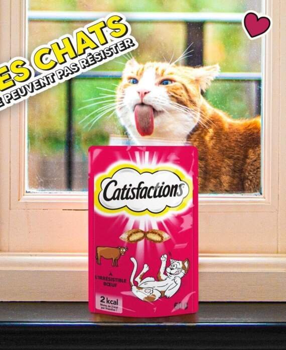 friandises pour chat au canard review