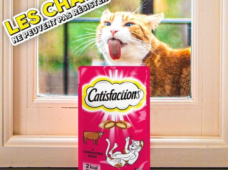 friandises pour chat au canard review