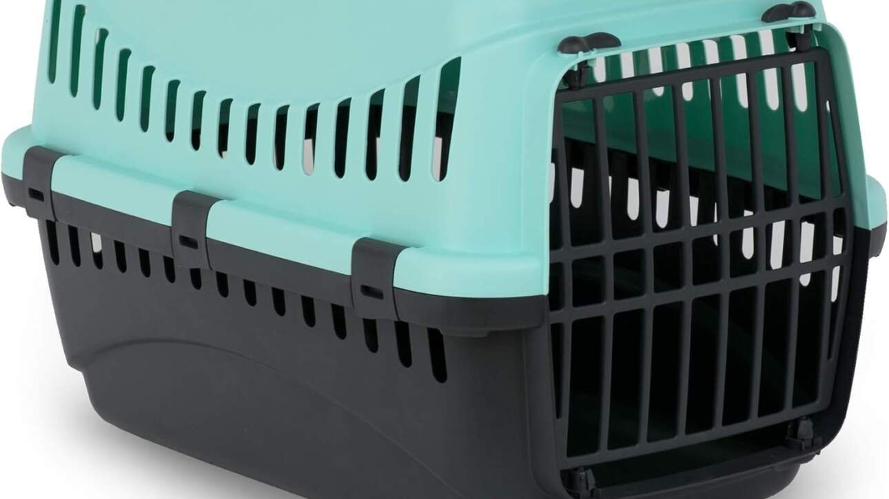 mp bergamo panier transport gipsy 50 porte plastique pour chat bleu turquoise 7 kg