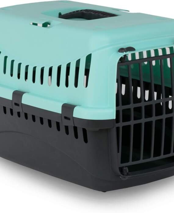 mp bergamo panier transport gipsy 50 porte plastique pour chat bleu turquoise 7 kg