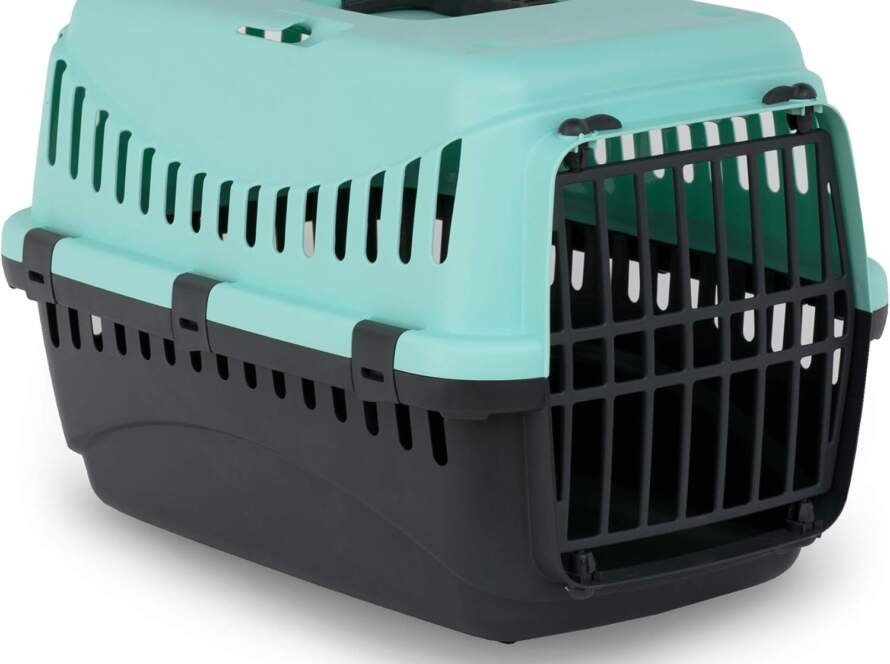 mp bergamo panier transport gipsy 50 porte plastique pour chat bleu turquoise 7 kg