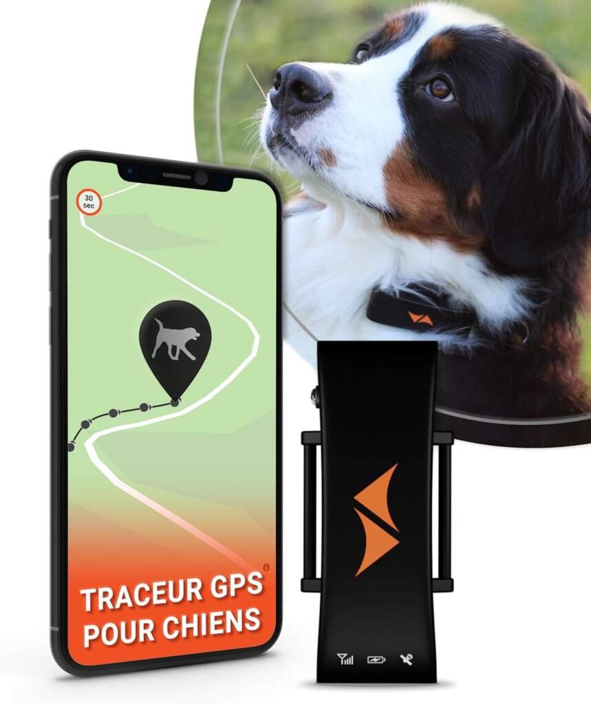 PAJ GPS pour Chien - Alarme de Fugue + Suivi en Direct - Mode déconomie de Batterie près de routeur - Signaux sonores- Étanche (IP67) - sadapte à Tous Les Colliers