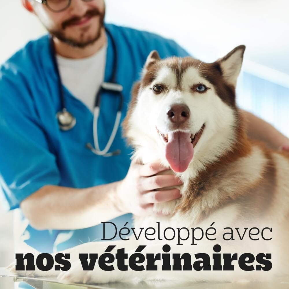 PEDIGREE DENTASTIX 56 Bâtonnets à Mâcher Bucco-Dentaires pour Petit Chien 5-10kg (Lot de 8 Sachets de 7 Friandises) - Hygiène, Scientifiquement Prouvé, Nettoyage Dents au Quotidien