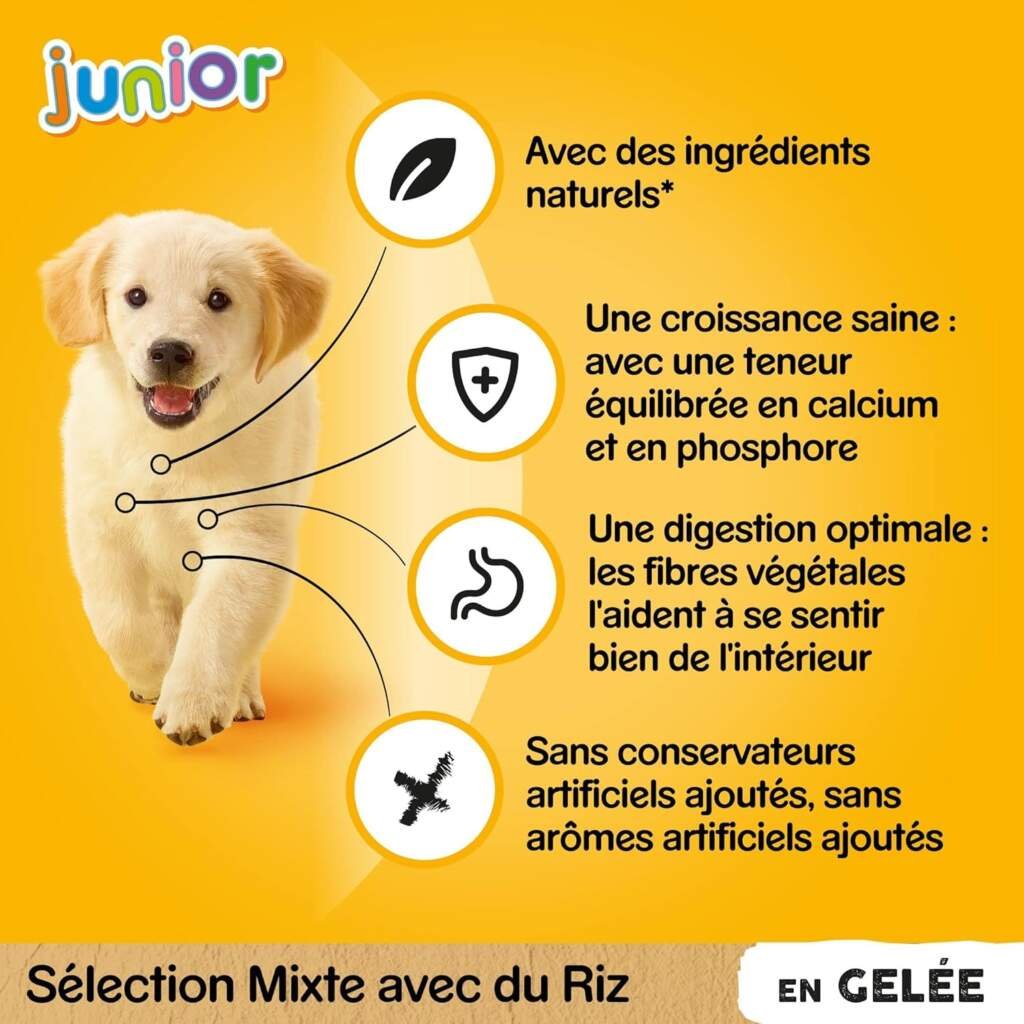 PEDIGREE Repas pour Chien - 48 Sachets Fraîcheur (Lot de 4 Packs 12x100g) - Pâtée pour Chien en Gelée - Boeuf / Volaille / Agneau / Poulet - Nourriture Complète  Equilibrée avec Ingrédients Naturels