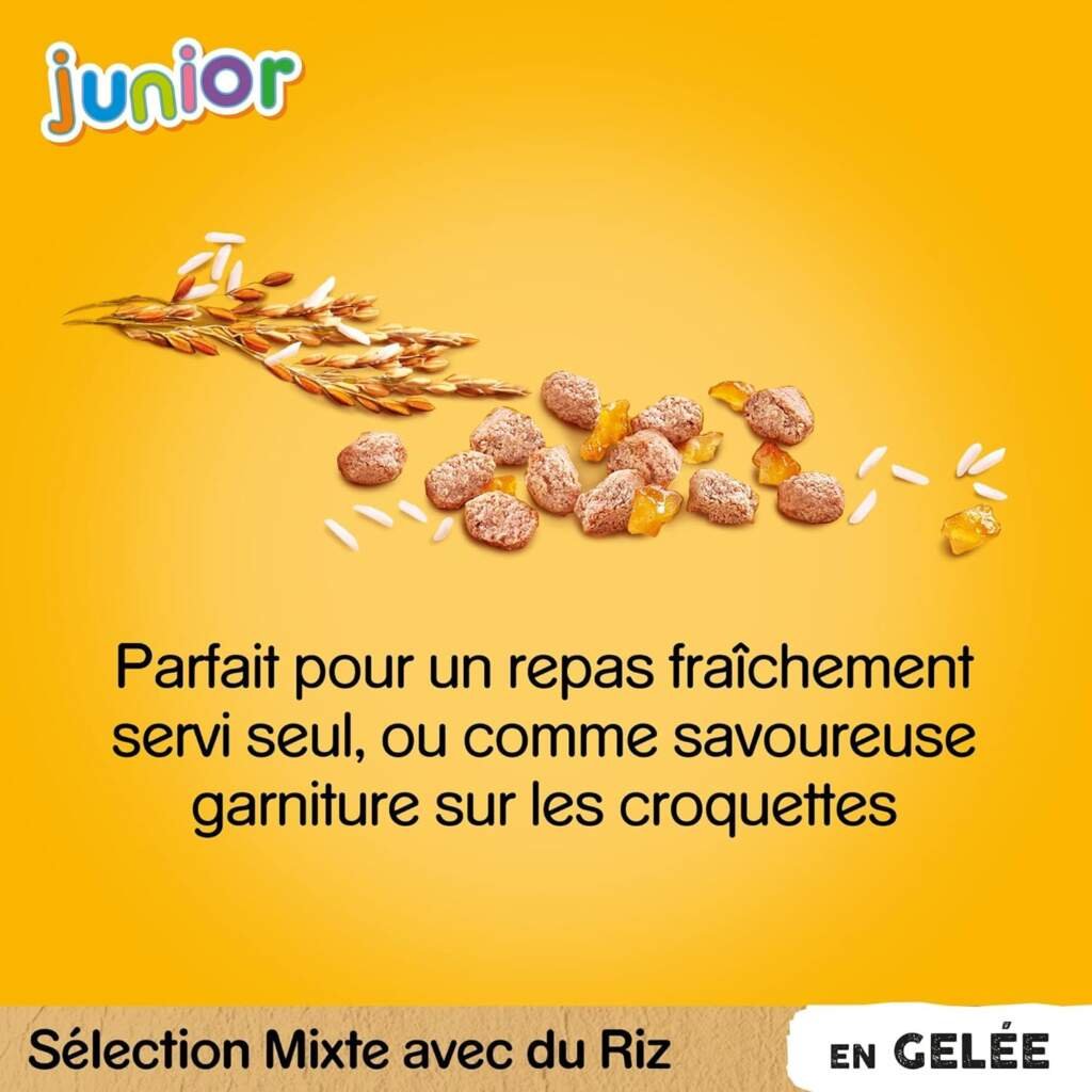 PEDIGREE Repas pour Chien - 48 Sachets Fraîcheur (Lot de 4 Packs 12x100g) - Pâtée pour Chien en Gelée - Boeuf / Volaille / Agneau / Poulet - Nourriture Complète  Equilibrée avec Ingrédients Naturels