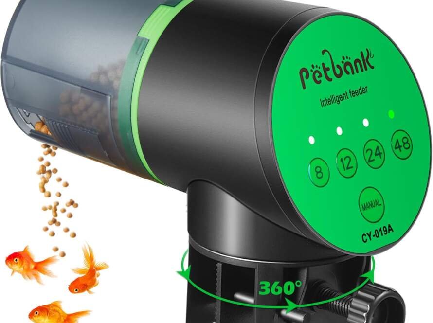 petbank distributeur automatique de nourriture pour poissons distributeur automatique de nourriture pour poissons minute