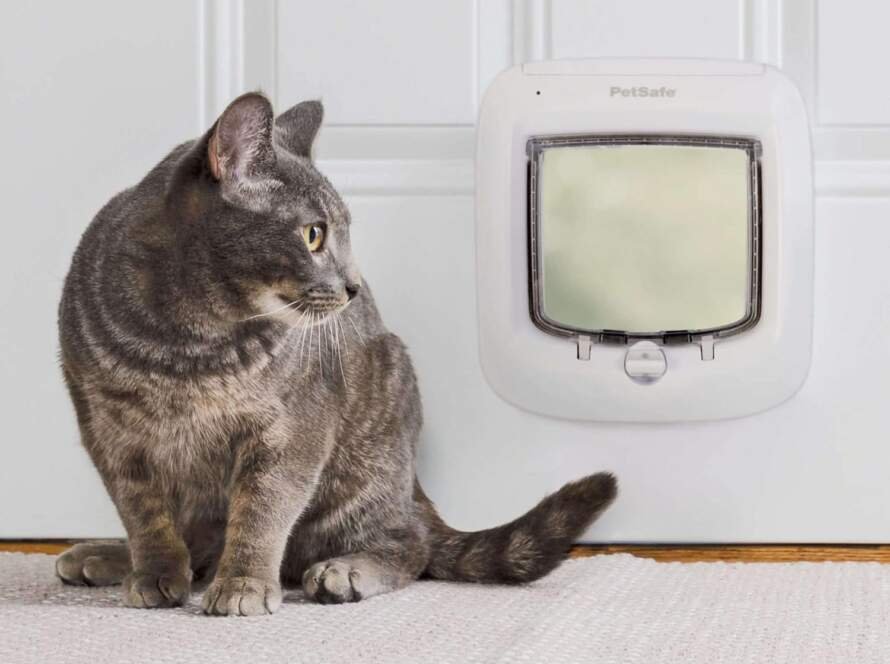 petsafe chatiere a puce electronique acces selectif pour votre chat empeche les etrangers dentrer installation facile ch 1