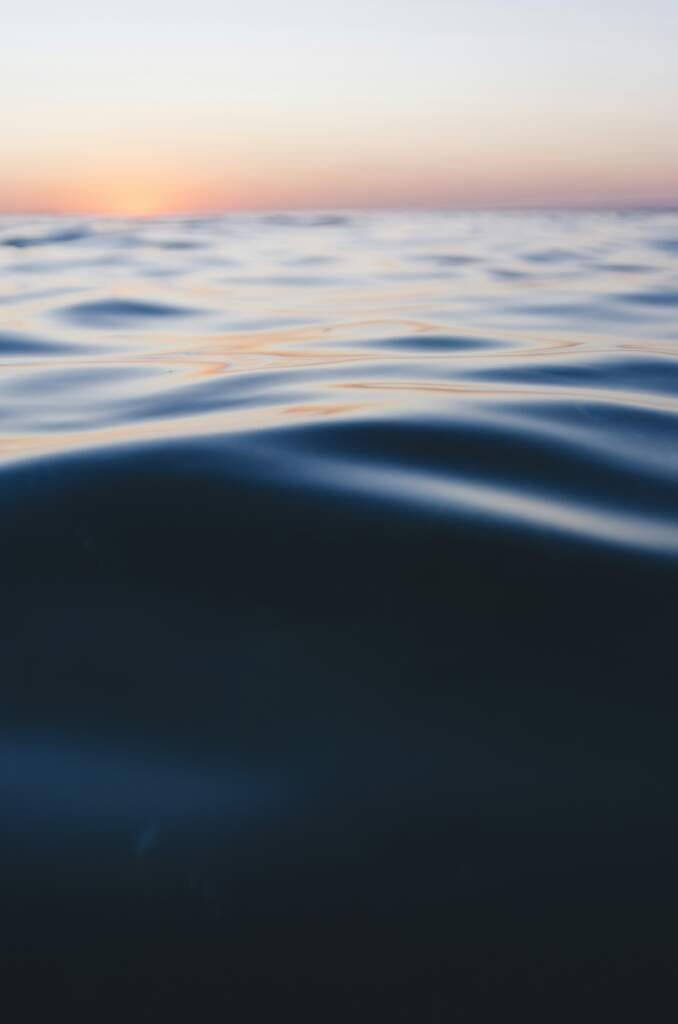 Pourquoi l’eau de mon aquarium devient-elle trouble ?