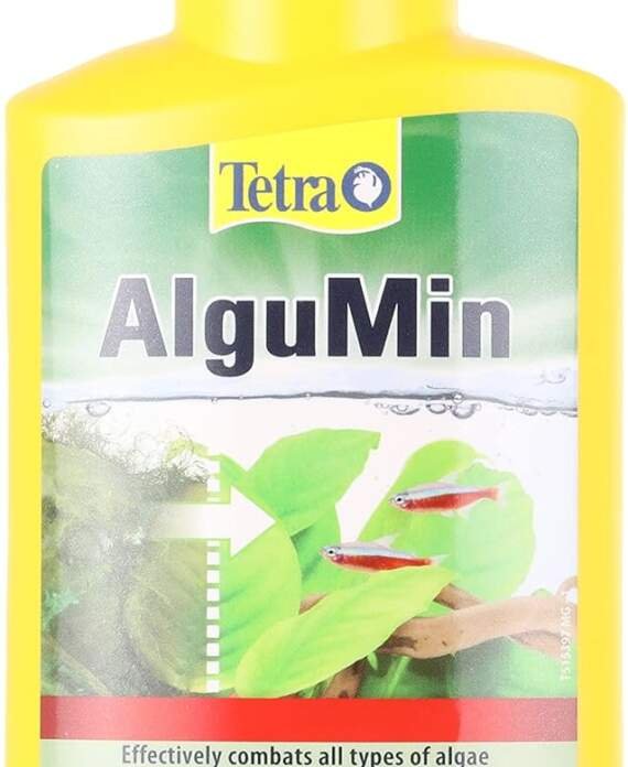 tetra algumin elimine les algues et empeche leur reapparition efficace sur tous types dalgues 250 ml