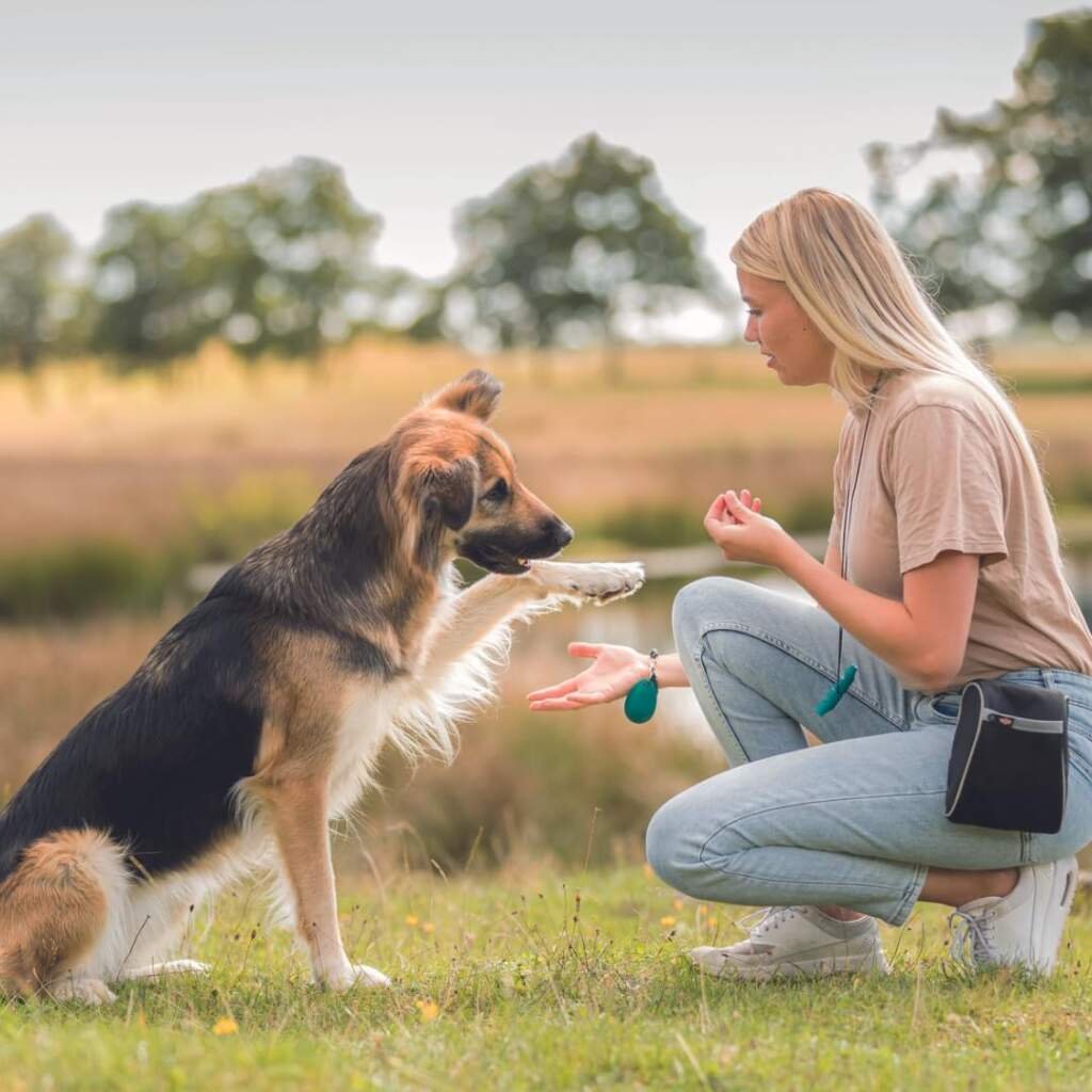 Trixie Premio Duck Bites pour Chien 80 g