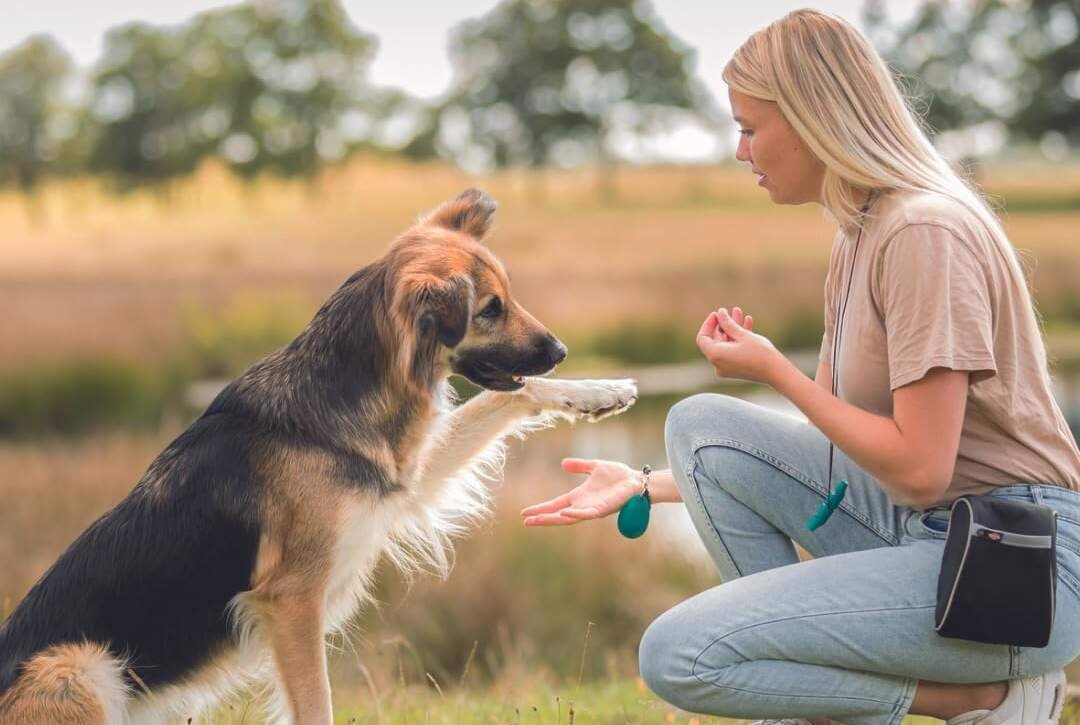 trixie premio duck bites pour chien 80 g 4