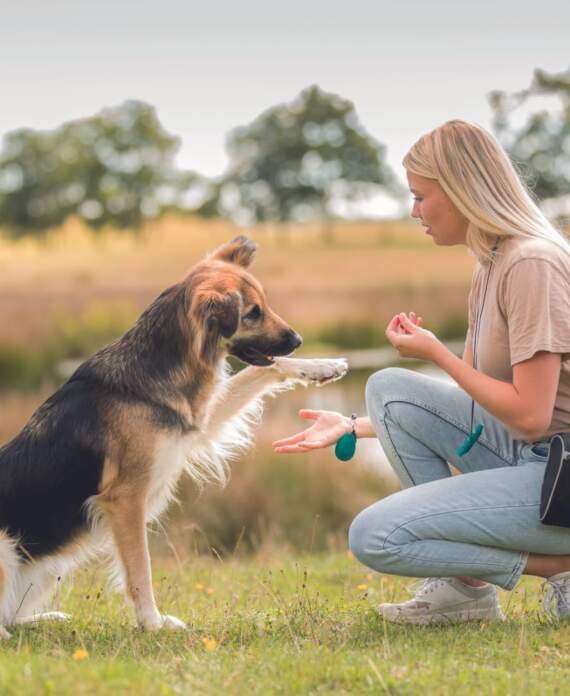 trixie premio duck bites pour chien 80 g 4