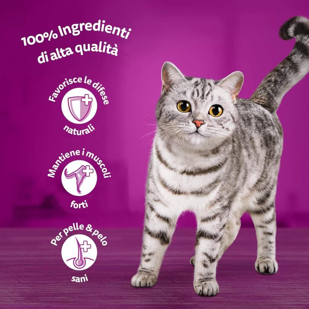 WHISKAS Repas - 48 Sachets Fraîcheur - La Carte Mixte (4 variétés) - Pâtée pour Chat Adulte en Gelée – Nourriture Humide Complète  Equilibrée, Adaptée aux Chats Stérilisés