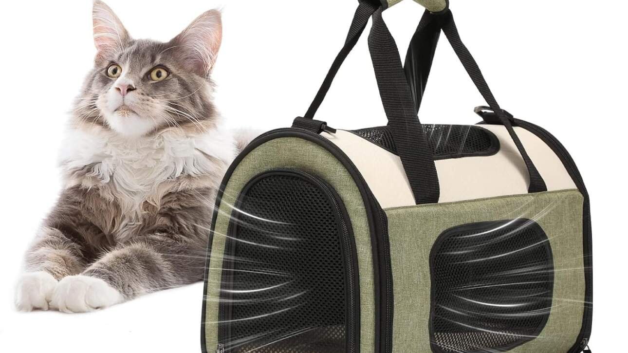 avis sac de transport pour chat e1731804271113