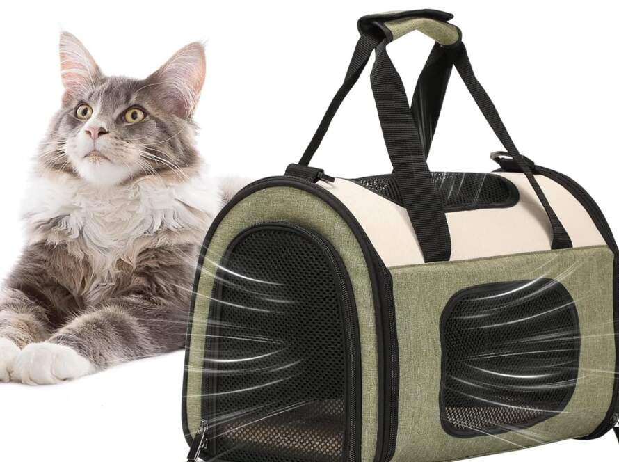 avis sac de transport pour chat e1731804271113