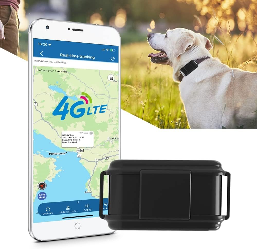 Collier GPS Chien de Chasse avec Micro Appels Vocaux Tracker Suivi en Temps Réel Alarme Sonore Pédomètre sans Limite Distance Traceur GPS Chiens Étanche sans Abonnement 4G TK919Pro