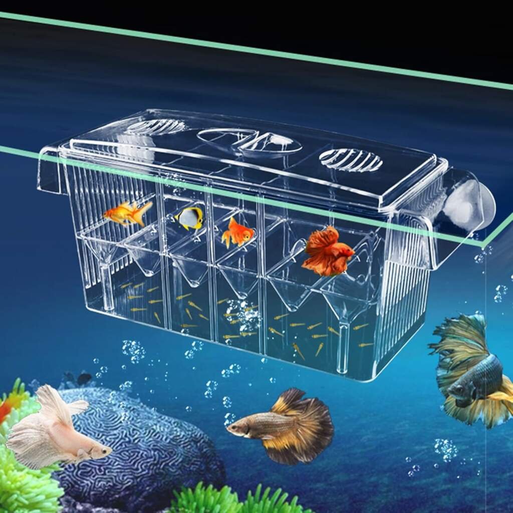 CSPone Aquarium Boîte Couveuse Double Couche Transparent pour Isoler Protéger Petits Poissons Crevettes Guppy