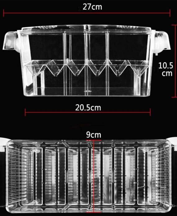 cspone aquarium boite couveuse double couche transparent pour isoler proteger petits poissons crevettes guppy 2