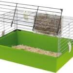 ferplast cage pour cobayes vert 58 x 38 x 315 cm