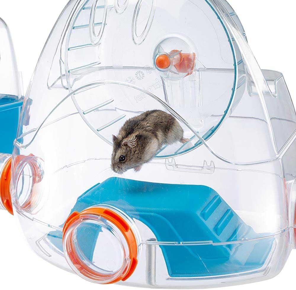 Ferplast Cage pour Hamsters Combi 2, Habitat pour Petits rongeurs, Plastique Robuste, Toit avec Grille Qui souvre, Tunnel et Module de Jeux, Accessoires Inclus, 79,5 x 29,5 x h 26,3 cm Bleu