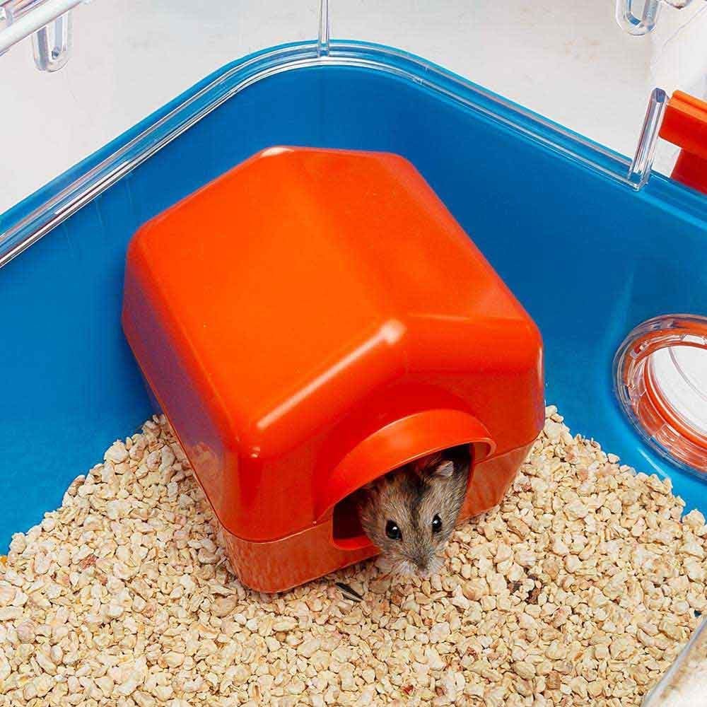 Ferplast Cage pour Hamsters Combi 2, Habitat pour Petits rongeurs, Plastique Robuste, Toit avec Grille Qui souvre, Tunnel et Module de Jeux, Accessoires Inclus, 79,5 x 29,5 x h 26,3 cm Bleu