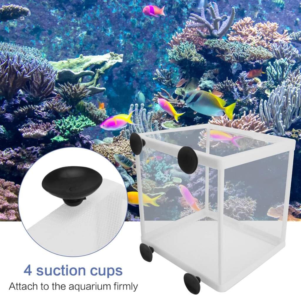 Filet Délevage Aquarium 2 Pcs Boîte Délevage de Poissons Aquarium Boîte dIsolation de lÉcloserie Incubateur de Poissons Daquarium Filet de Séparation de Poisson de Bébé avec 8 Pcs Ventouses