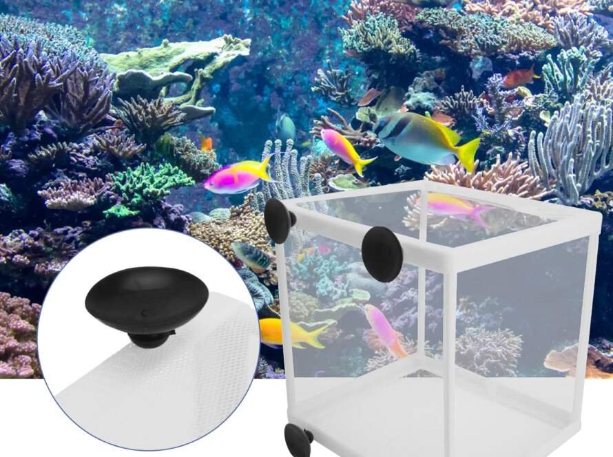 filet delevage aquarium 2 pcs boite delevage de poissons aquarium boite disolation de lecloserie incubateur de poissons 1 2