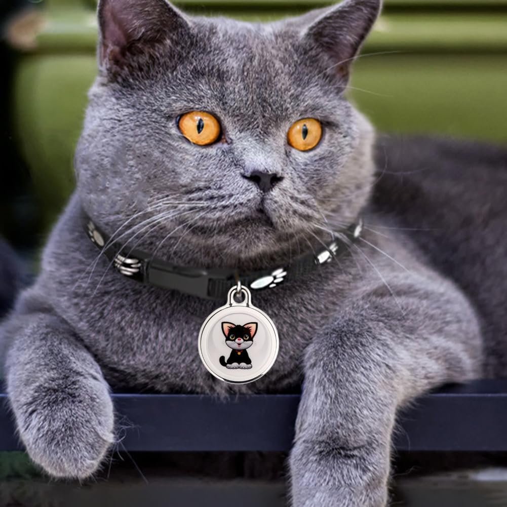 Fiorky Traqueur GPS pour chats et chiens, suivi de localisation en temps réel, collier GPS étanche pour petits chats et chiens