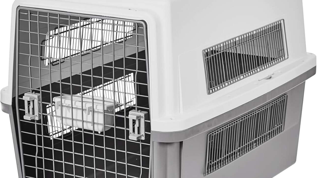 iris ohyama caisse cage box de transport pour chien chat 2 portes clips et loquet de securite plastiquepp sans bpa l46 x 3