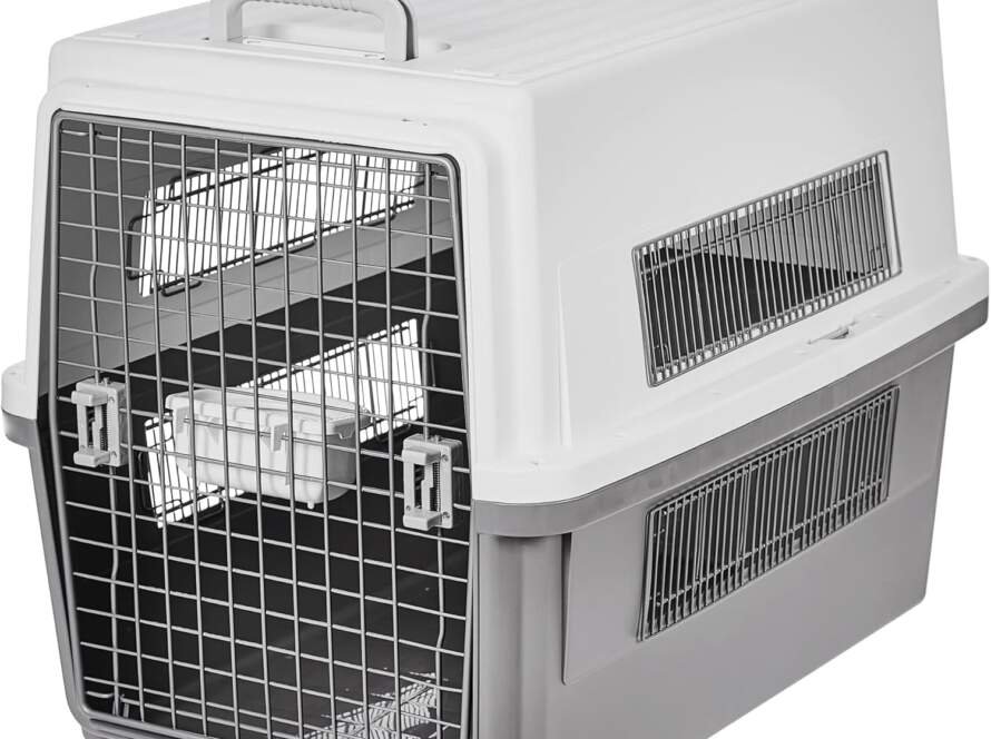 iris ohyama caisse cage box de transport pour chien chat 2 portes clips et loquet de securite plastiquepp sans bpa l46 x 3