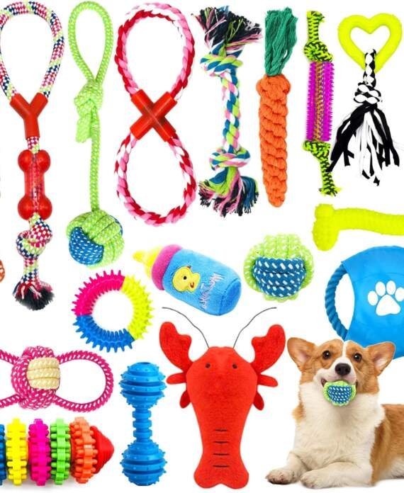 joyboy jouets pour chien18 pieces jouet chien cordedurables indestructible jouet a macher corde de dentition pour petit