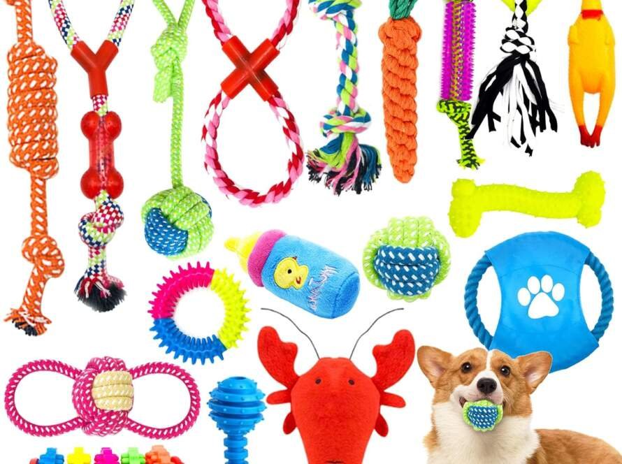 joyboy jouets pour chien18 pieces jouet chien cordedurables indestructible jouet a macher corde de dentition pour petit