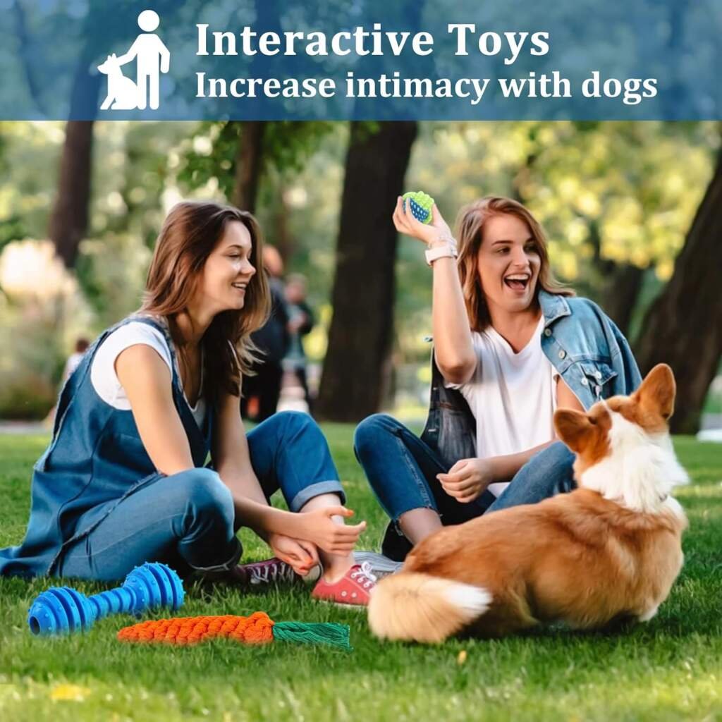 JOYBOY Jouets pour Chien,18 pièces Jouet Chien Corde,Durables Indestructible Jouet à Mâcher Corde de Dentition pour Petit et Moyen Chien