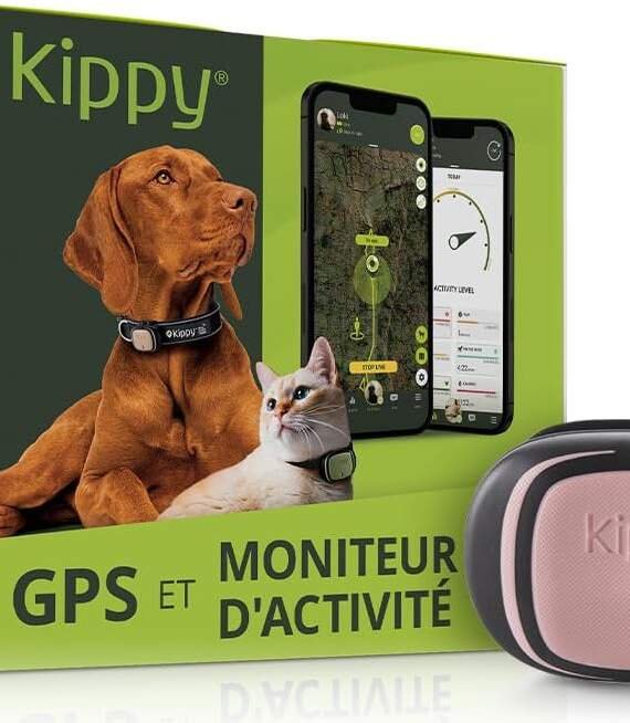 kippy collier gps chat chien evo gps chien chat satellite etanche traceur gps chien chat de sante et dactivite localisat