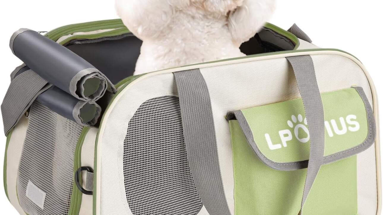 Sac de transport pour chiot et chien caniche