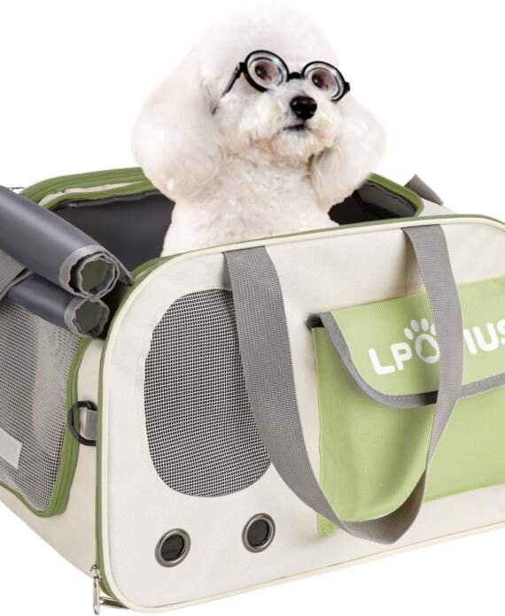 Sac de transport pour chiot et chien caniche