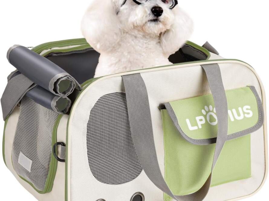 Sac de transport pour chiot et chien caniche