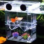 netume boite delevage de poissons daquarium en acrylique double couche pour isolation de poissoneclosion de poissonselev