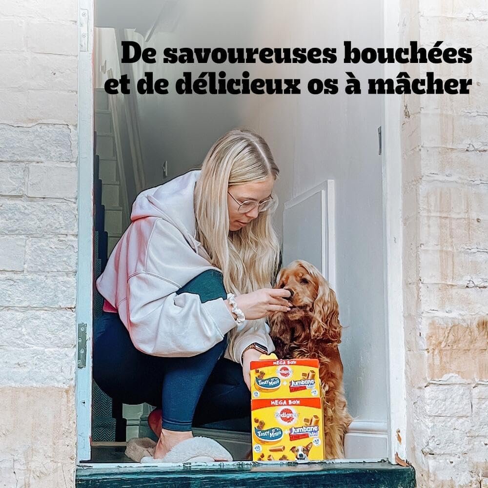 PEDIGREE MEGA BOX Récompenses - Mix Friandises Rodeo Duo 24 sticks  Jumbone 4 Os à Mâcher - 780g - Friandises Idéales pour Eduquer ou Faire Plaisir à son Chien