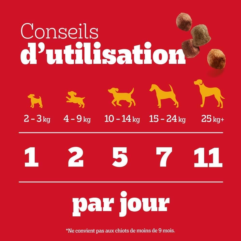 Pedigree Sa Récompense – Bouchées Moelleuses pour Chien – Friandises au poulet – 6 sachets de 130g